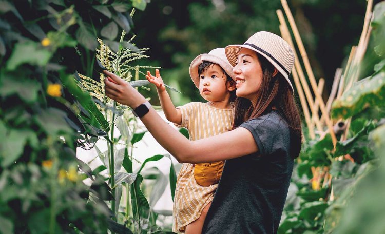 Mother with child in arms outside admiring plants