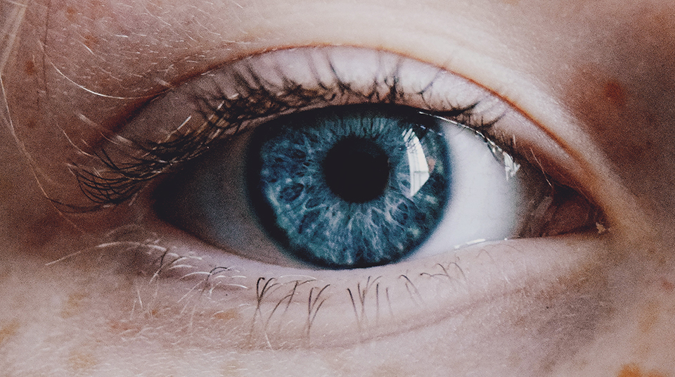 image shows a close up of a blue eye